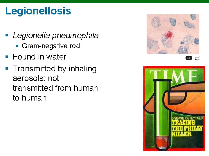 Legionellosis § Legionella pneumophila § Gram-negative rod § Found in water § Transmitted by