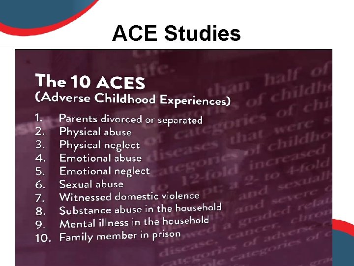 ACE Studies 