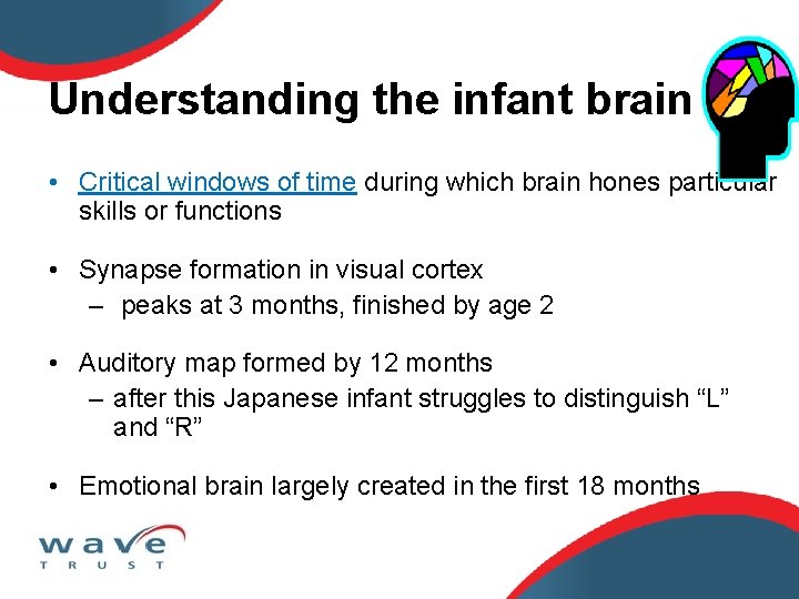 Understanding the infant brain • Critical windows of time during which brain hones particular