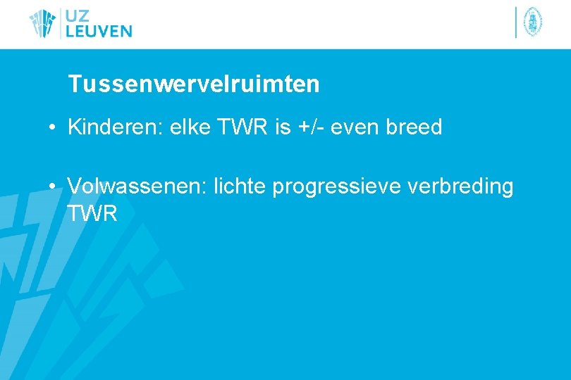Tussenwervelruimten • Kinderen: elke TWR is +/- even breed • Volwassenen: lichte progressieve verbreding