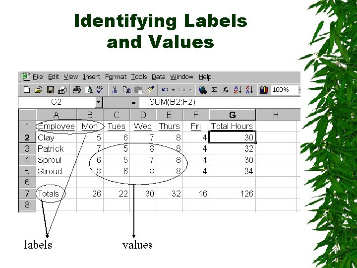 Identifying Labels and Values labels values 