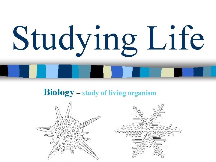 Studying Life Biology – study of living organism 