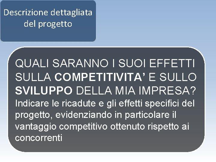 Descrizione dettagliata del progetto QUALI SARANNO I SUOI EFFETTI SULLA COMPETITIVITA’ E SULLO SVILUPPO