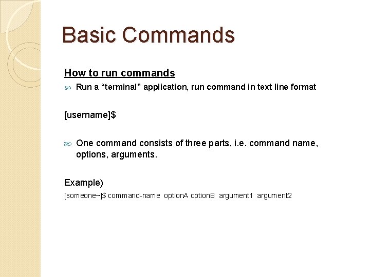 Basic Commands How to run commands Run a “terminal” application, run command in text