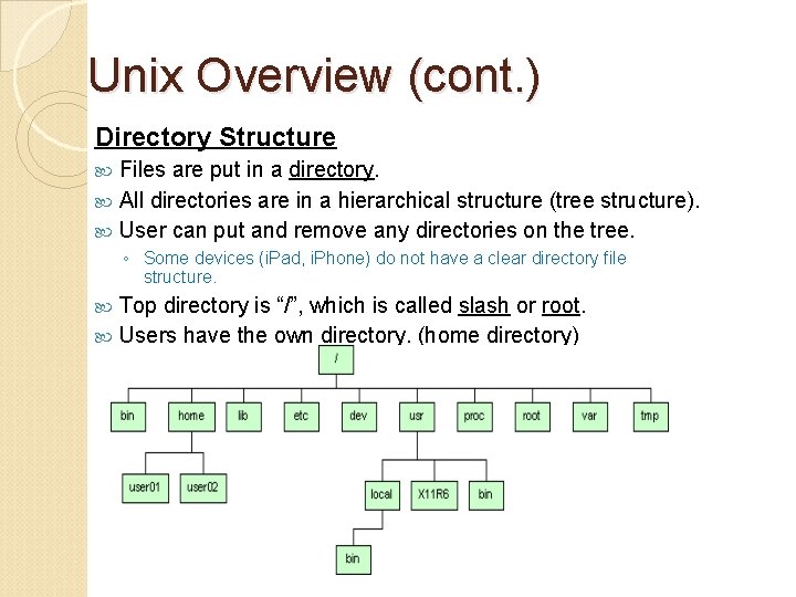 Unix Overview (cont. ) Directory Structure Files are put in a directory. All directories