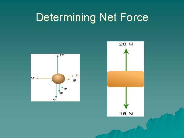 Determining Net Force 
