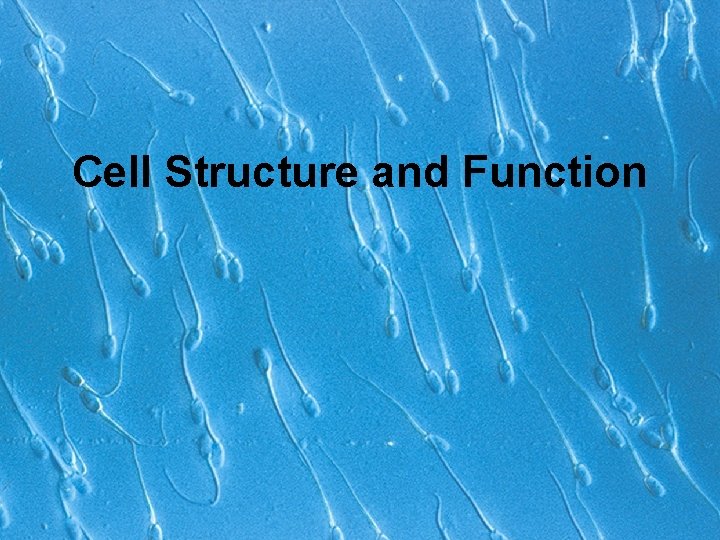 Cell Structure and Function 