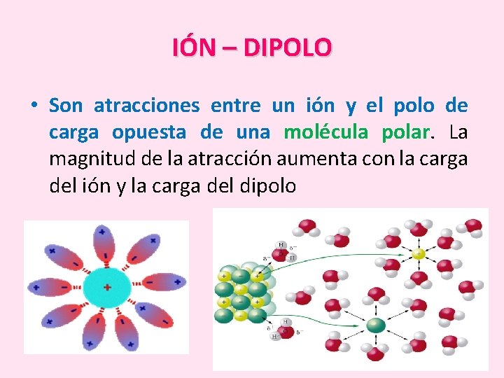 IÓN – DIPOLO • Son atracciones entre un ión y el polo de carga