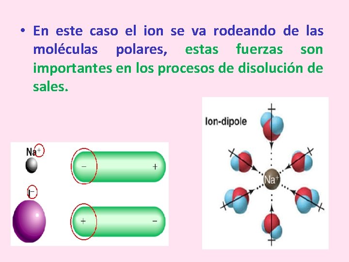  • En este caso el ion se va rodeando de las moléculas polares,