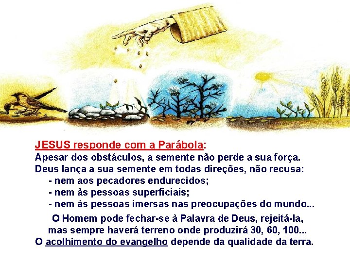 JESUS responde com a Parábola: Apesar dos obstáculos, a semente não perde a sua