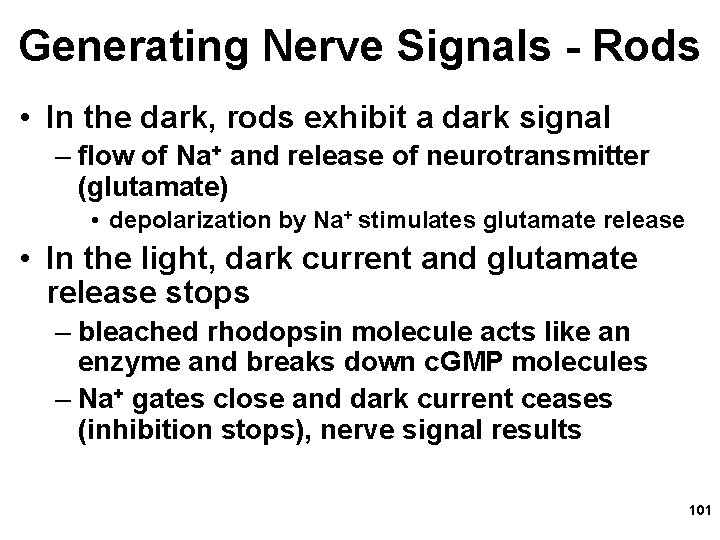 Generating Nerve Signals - Rods • In the dark, rods exhibit a dark signal