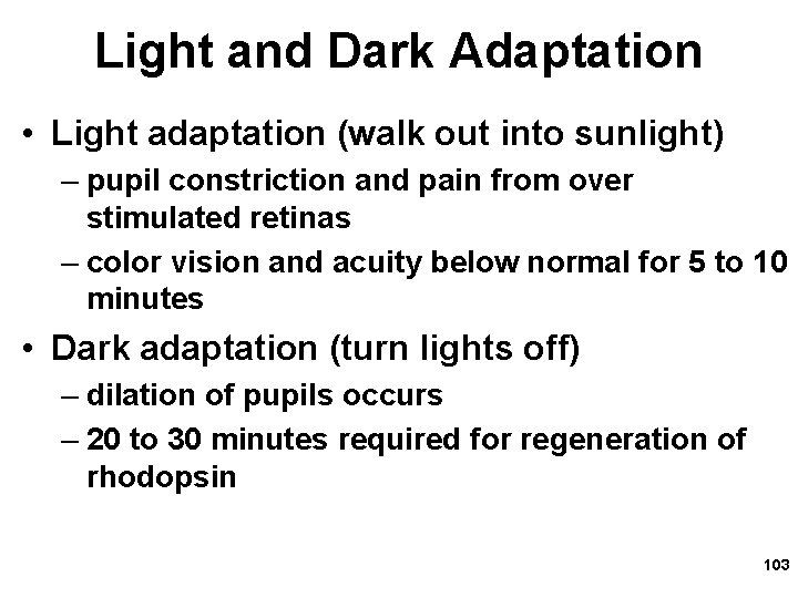 Light and Dark Adaptation • Light adaptation (walk out into sunlight) – pupil constriction