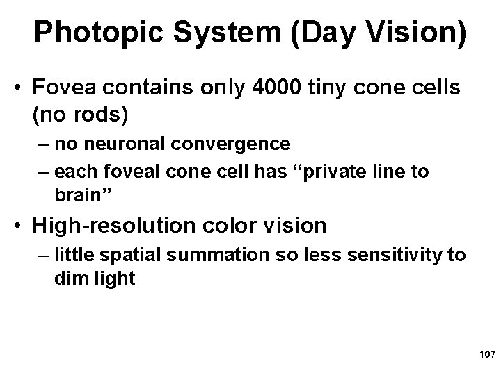 Photopic System (Day Vision) • Fovea contains only 4000 tiny cone cells (no rods)