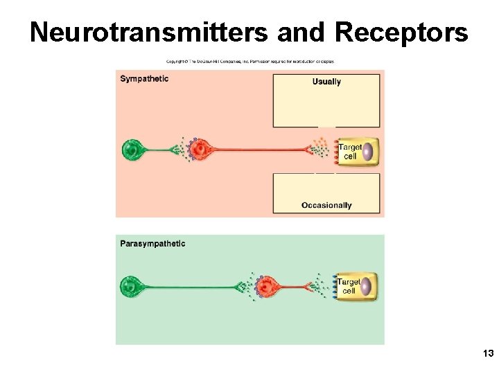 Neurotransmitters and Receptors 13 