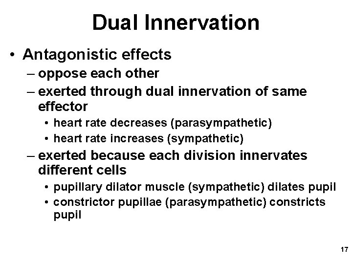 Dual Innervation • Antagonistic effects – oppose each other – exerted through dual innervation