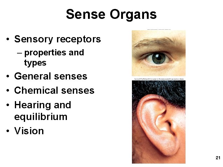 Sense Organs • Sensory receptors – properties and types • General senses • Chemical