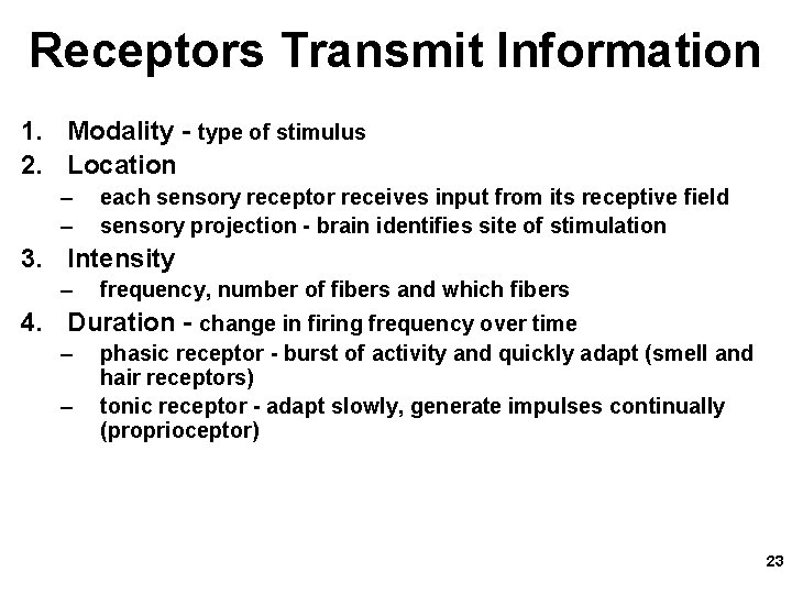 Receptors Transmit Information 1. Modality - type of stimulus 2. Location – – each