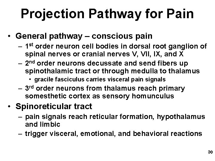 Projection Pathway for Pain • General pathway – conscious pain – 1 st order