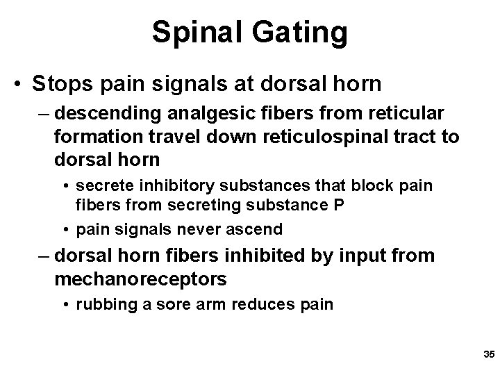 Spinal Gating • Stops pain signals at dorsal horn – descending analgesic fibers from