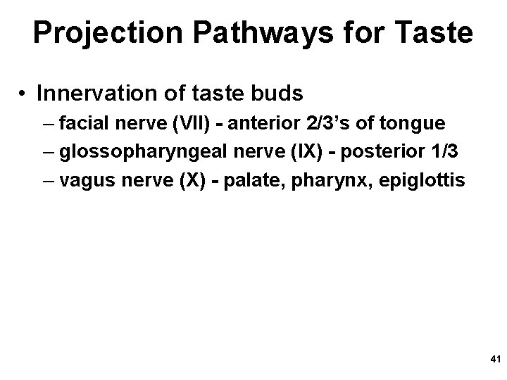 Projection Pathways for Taste • Innervation of taste buds – facial nerve (VII) -
