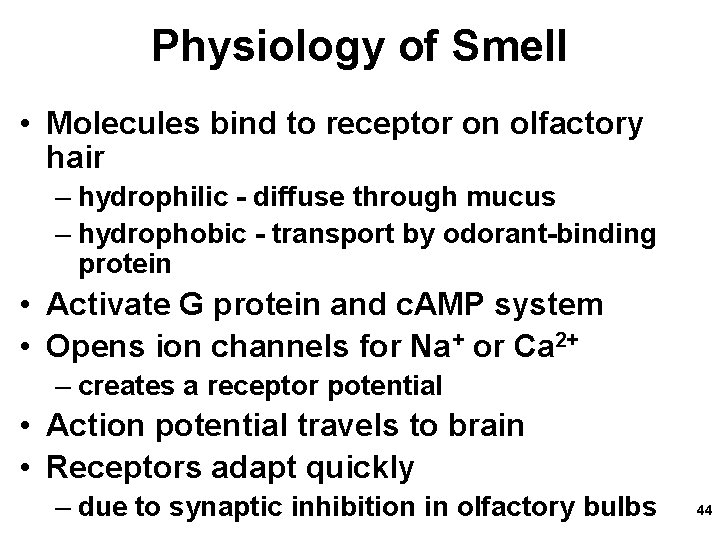 Physiology of Smell • Molecules bind to receptor on olfactory hair – hydrophilic -