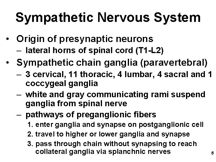 Sympathetic Nervous System • Origin of presynaptic neurons – lateral horns of spinal cord