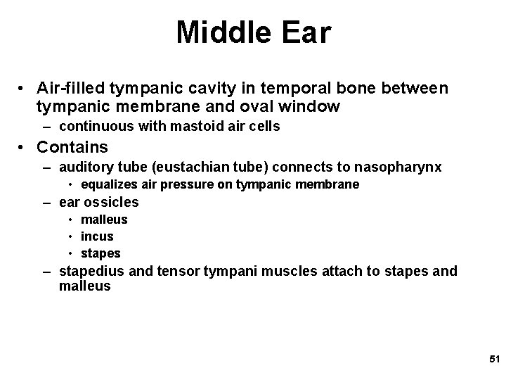 Middle Ear • Air-filled tympanic cavity in temporal bone between tympanic membrane and oval