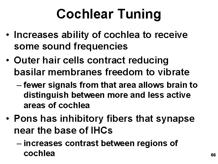 Cochlear Tuning • Increases ability of cochlea to receive some sound frequencies • Outer