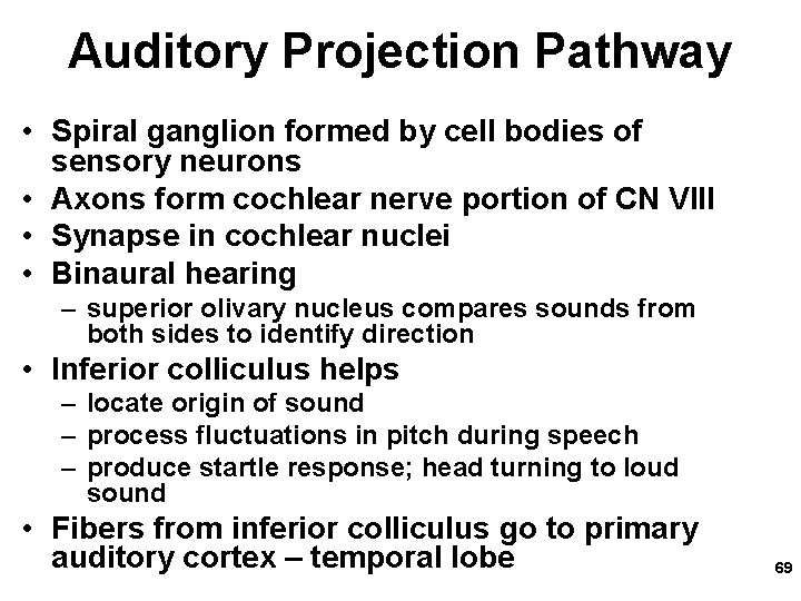 Auditory Projection Pathway • Spiral ganglion formed by cell bodies of sensory neurons •