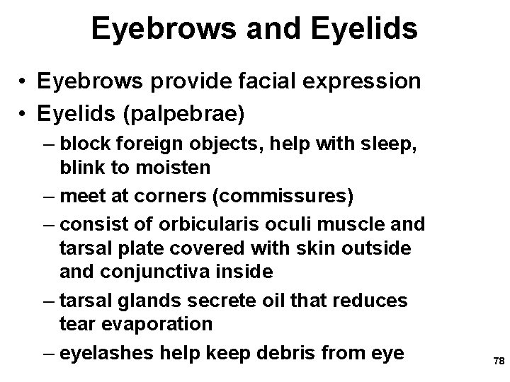 Eyebrows and Eyelids • Eyebrows provide facial expression • Eyelids (palpebrae) – block foreign