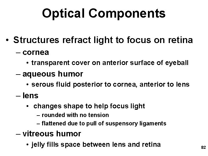 Optical Components • Structures refract light to focus on retina – cornea • transparent