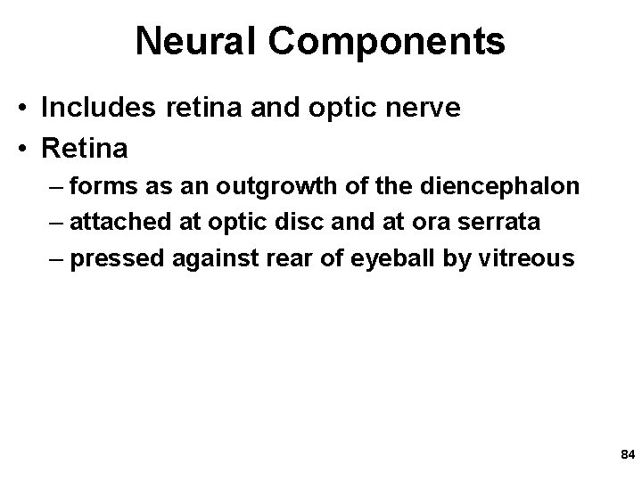 Neural Components • Includes retina and optic nerve • Retina – forms as an