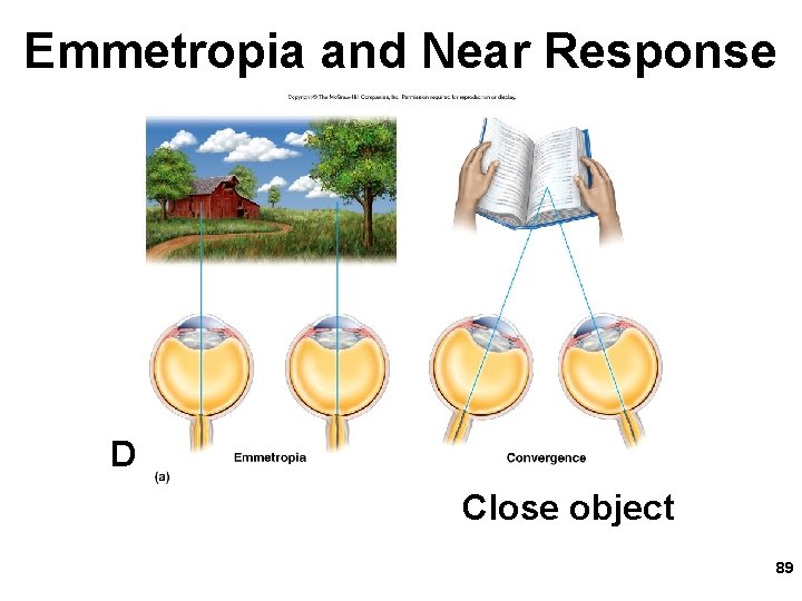 Emmetropia and Near Response Fig. 16. 31 a Distant object Close object 89 