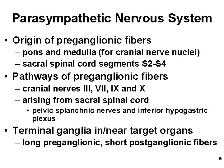 Parasympathetic Nervous System • Origin of preganglionic fibers – pons and medulla (for cranial