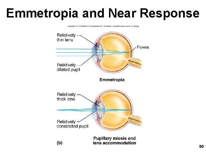 Emmetropia and Near Response 90 