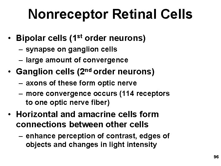 Nonreceptor Retinal Cells • Bipolar cells (1 st order neurons) – synapse on ganglion