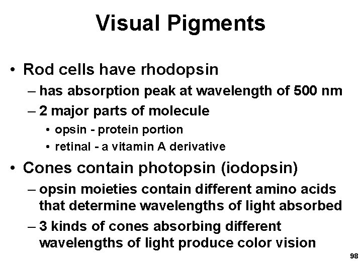 Visual Pigments • Rod cells have rhodopsin – has absorption peak at wavelength of