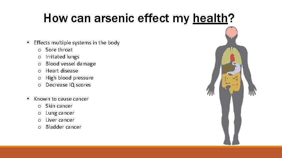 How can arsenic effect my health? • Effects multiple systems in the body o