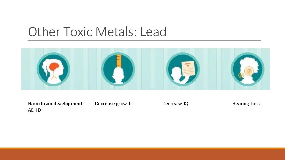 Other Toxic Metals: Lead Harm brain development ADHD Decrease growth Decrease IQ Hearing Loss