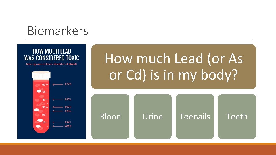Biomarkers How much Lead (or As or Cd) is in my body? Blood Urine