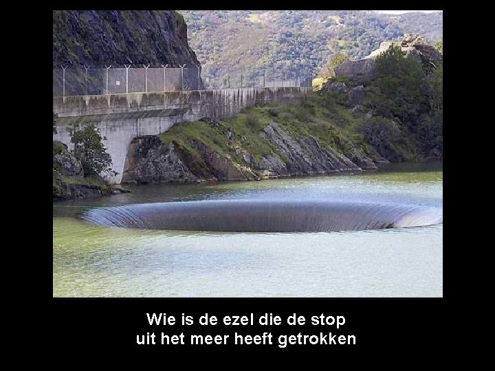 Wie is de ezel die de stop uit het meer heeft getrokken 