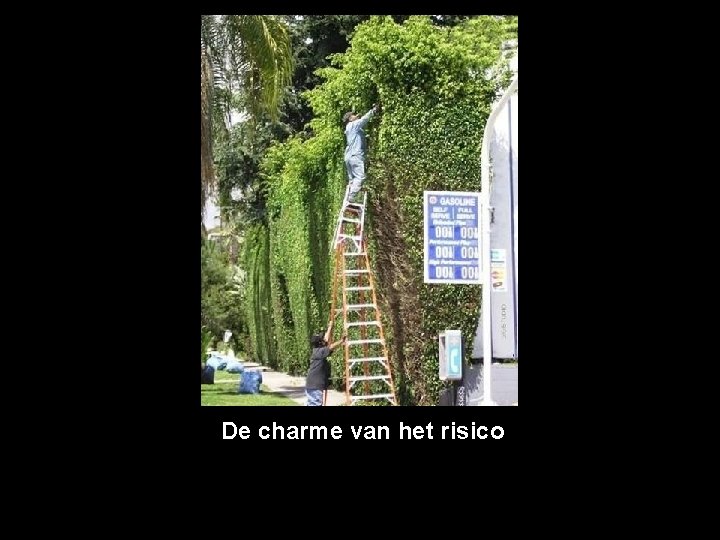 De charme van het risico 