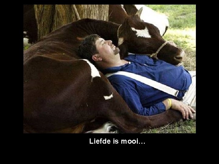 Liefde is mooi… 