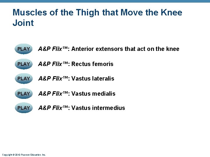 Muscles of the Thigh that Move the Knee Joint PLAY A&P Flix™: Anterior extensors