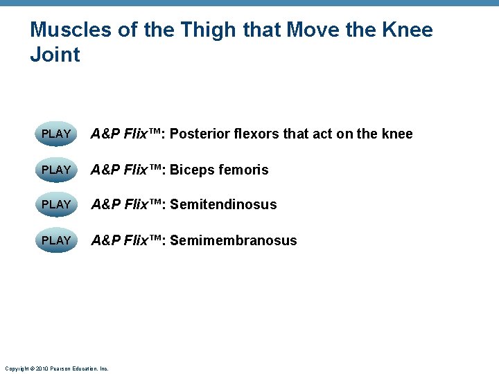 Muscles of the Thigh that Move the Knee Joint PLAY A&P Flix™: Posterior flexors