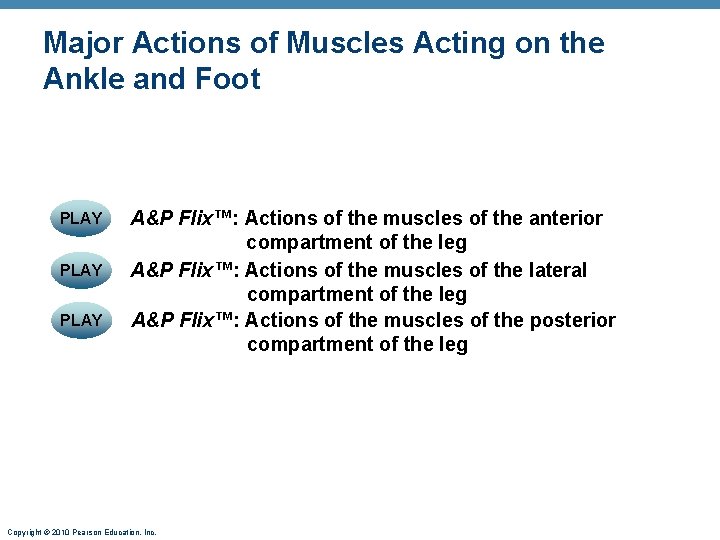 Major Actions of Muscles Acting on the Ankle and Foot PLAY A&P Flix™: Actions