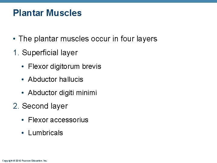 Plantar Muscles • The plantar muscles occur in four layers 1. Superficial layer •