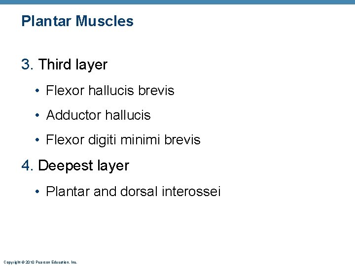 Plantar Muscles 3. Third layer • Flexor hallucis brevis • Adductor hallucis • Flexor