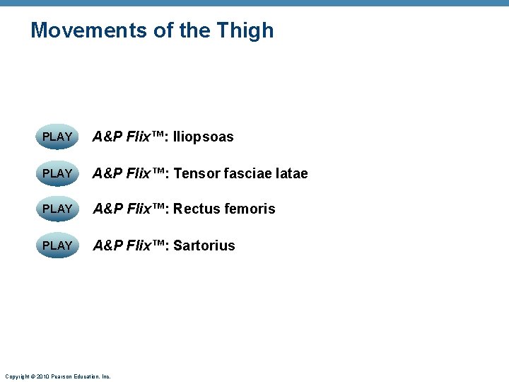 Movements of the Thigh PLAY A&P Flix™: Iliopsoas PLAY A&P Flix™: Tensor fasciae latae