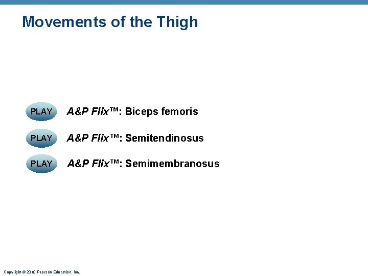 Movements of the Thigh PLAY A&P Flix™: Biceps femoris PLAY A&P Flix™: Semitendinosus PLAY